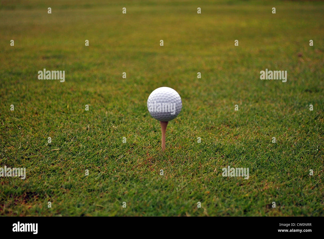 tee da golf Foto Stock