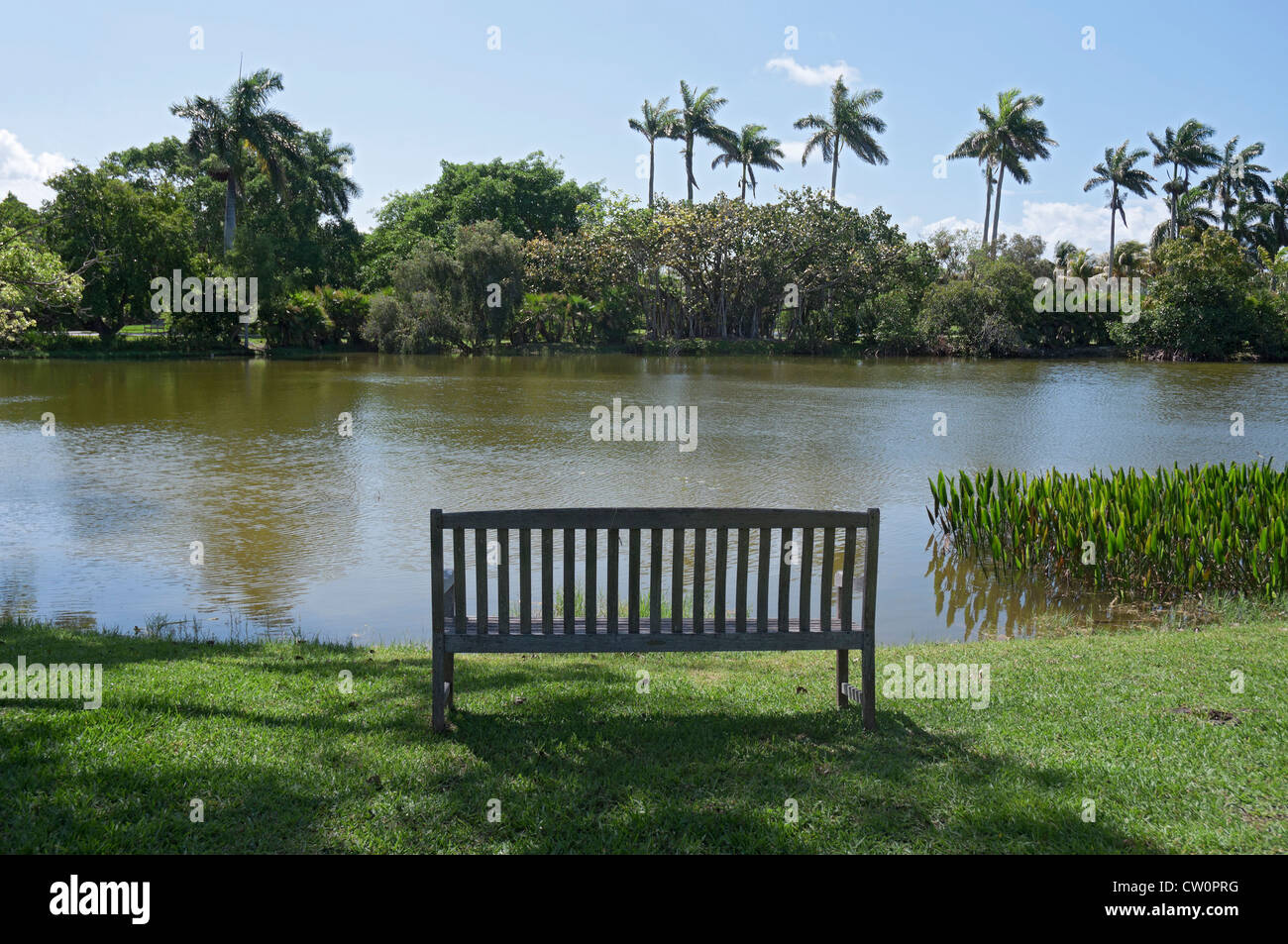 Fairchild Tropical Giardini Botanici a Coral Gables, un sobborgo di Miami, Florida. Foto Stock