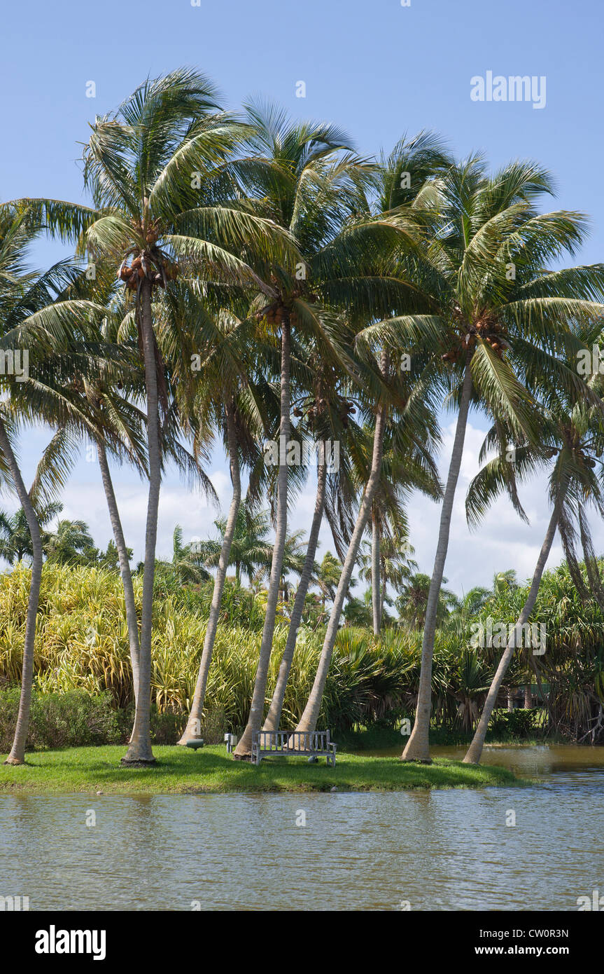 Fairchild Tropical Giardini Botanici a Coral Gables, un sobborgo di Miami, Florida. Foto Stock