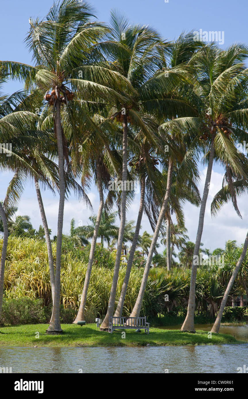 Fairchild Tropical Giardini Botanici a Coral Gables, un sobborgo di Miami, Florida. Foto Stock