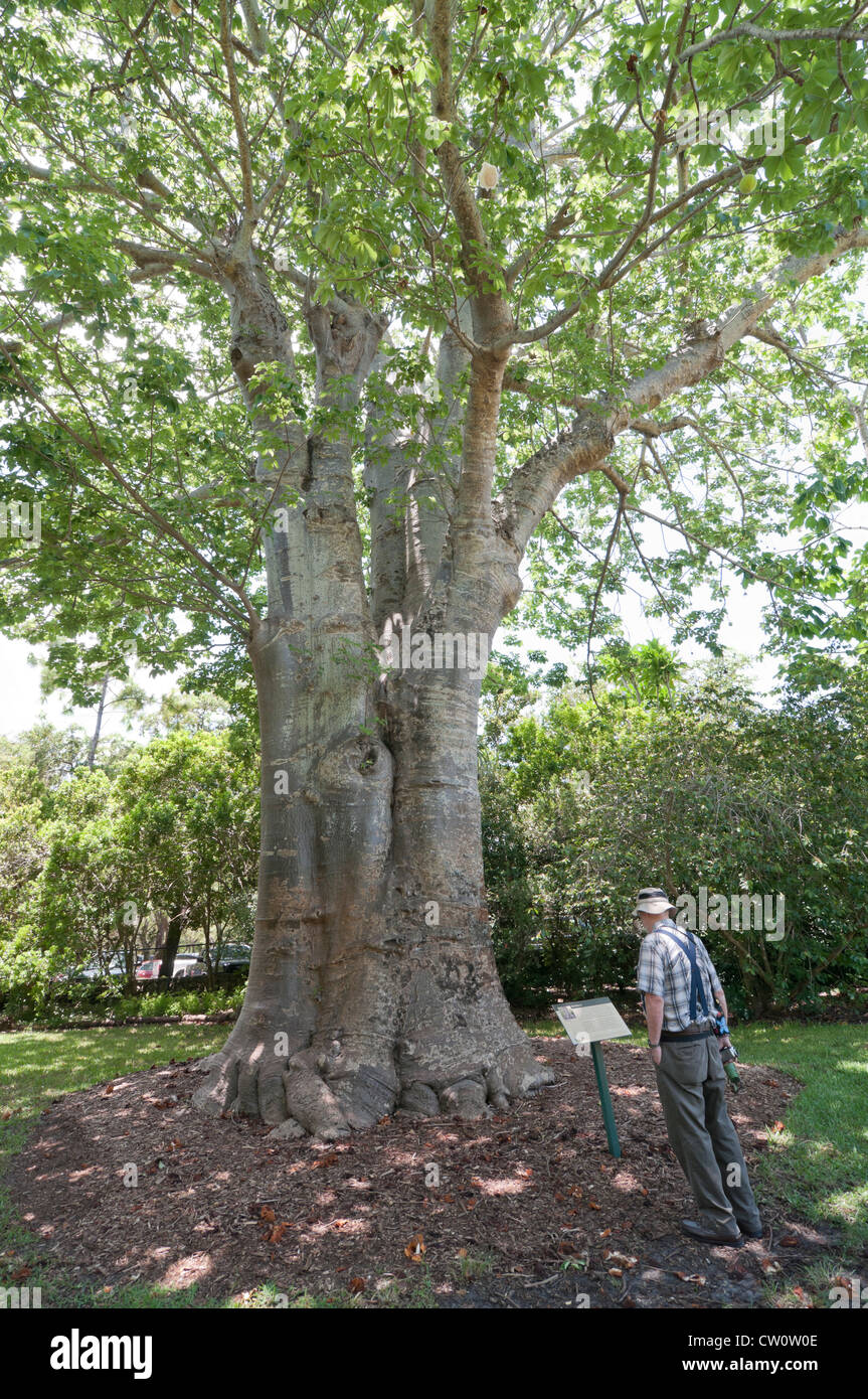 Fairchild Tropical Giardini Botanici a Coral Gables, un sobborgo di Miami, Florida. Foto Stock