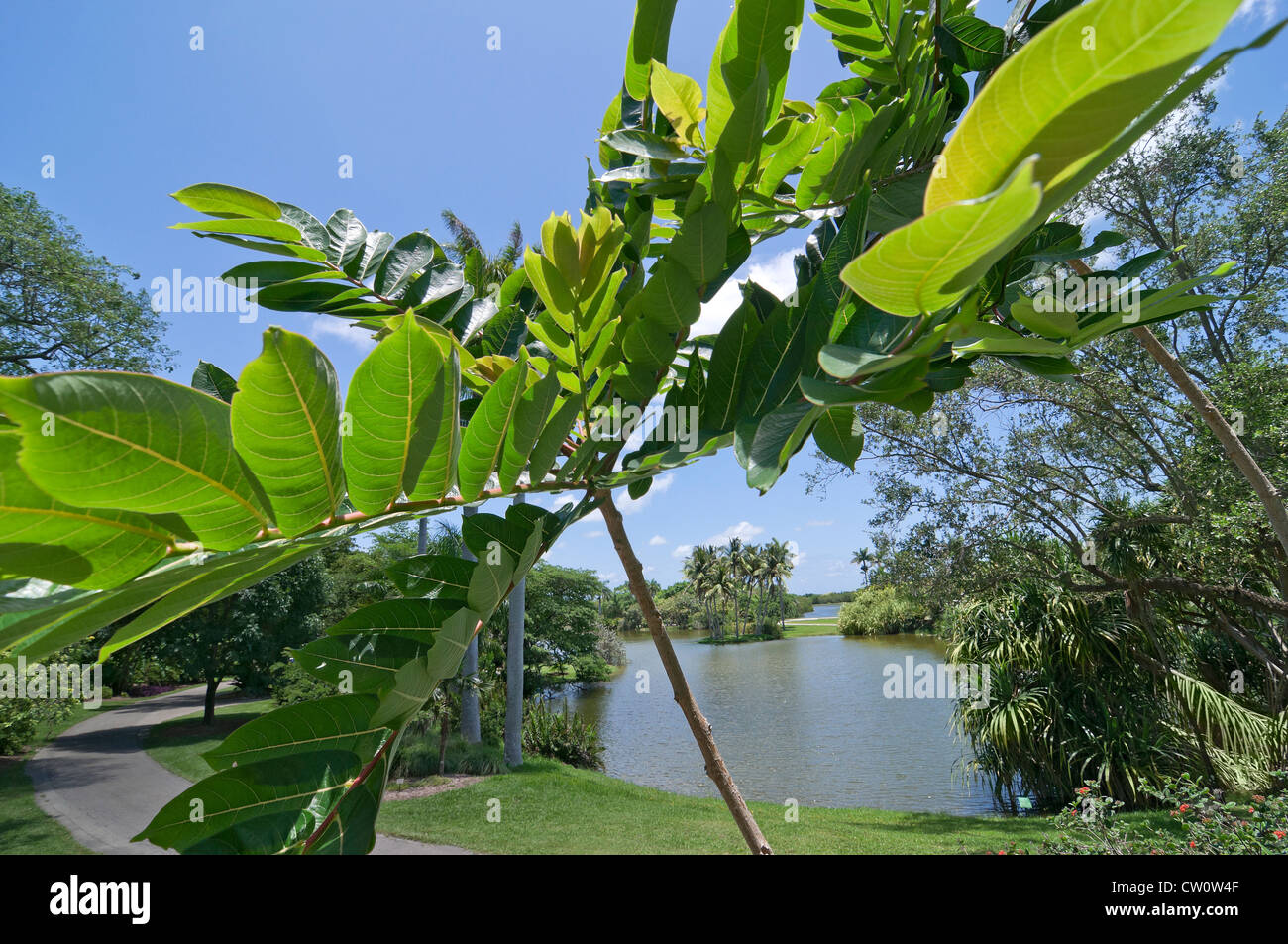 Fairchild Tropical Giardini Botanici a Coral Gables, un sobborgo di Miami, Florida. Foto Stock