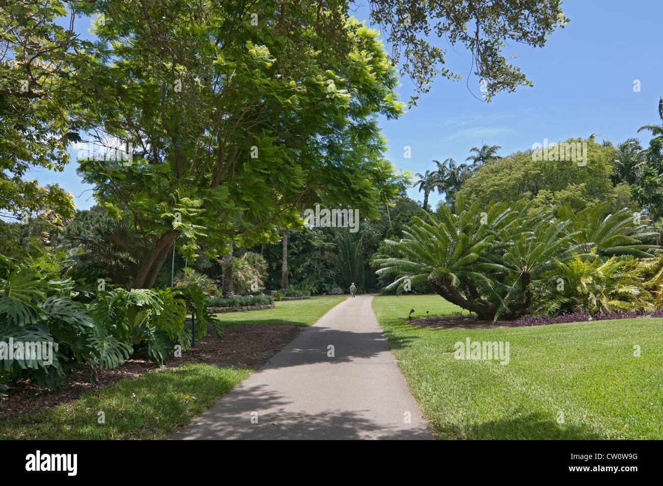 Fairchild Tropical Giardini Botanici a Coral Gables, un sobborgo di Miami, Florida. Foto Stock
