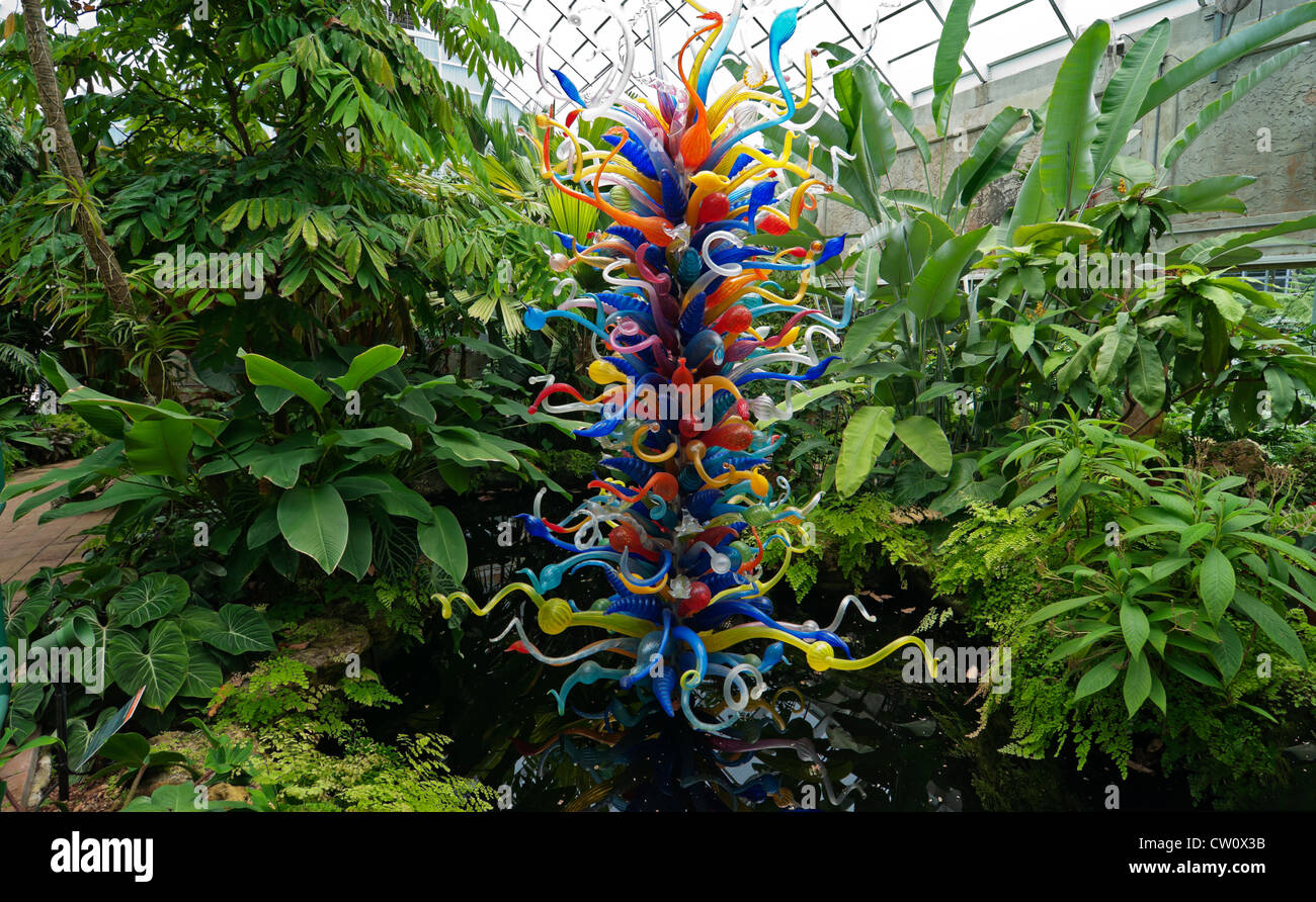 Fairchild Tropical Giardini Botanici a Coral Gables, un sobborgo di Miami, Florida. Dale Chihuly sculture in vetro in Conservatorio. Foto Stock