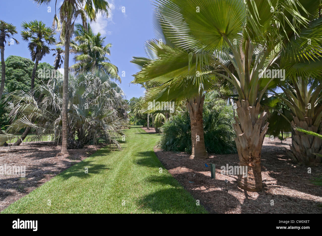 Fairchild Tropical Giardini Botanici a Coral Gables, un sobborgo di Miami, Florida. Foto Stock
