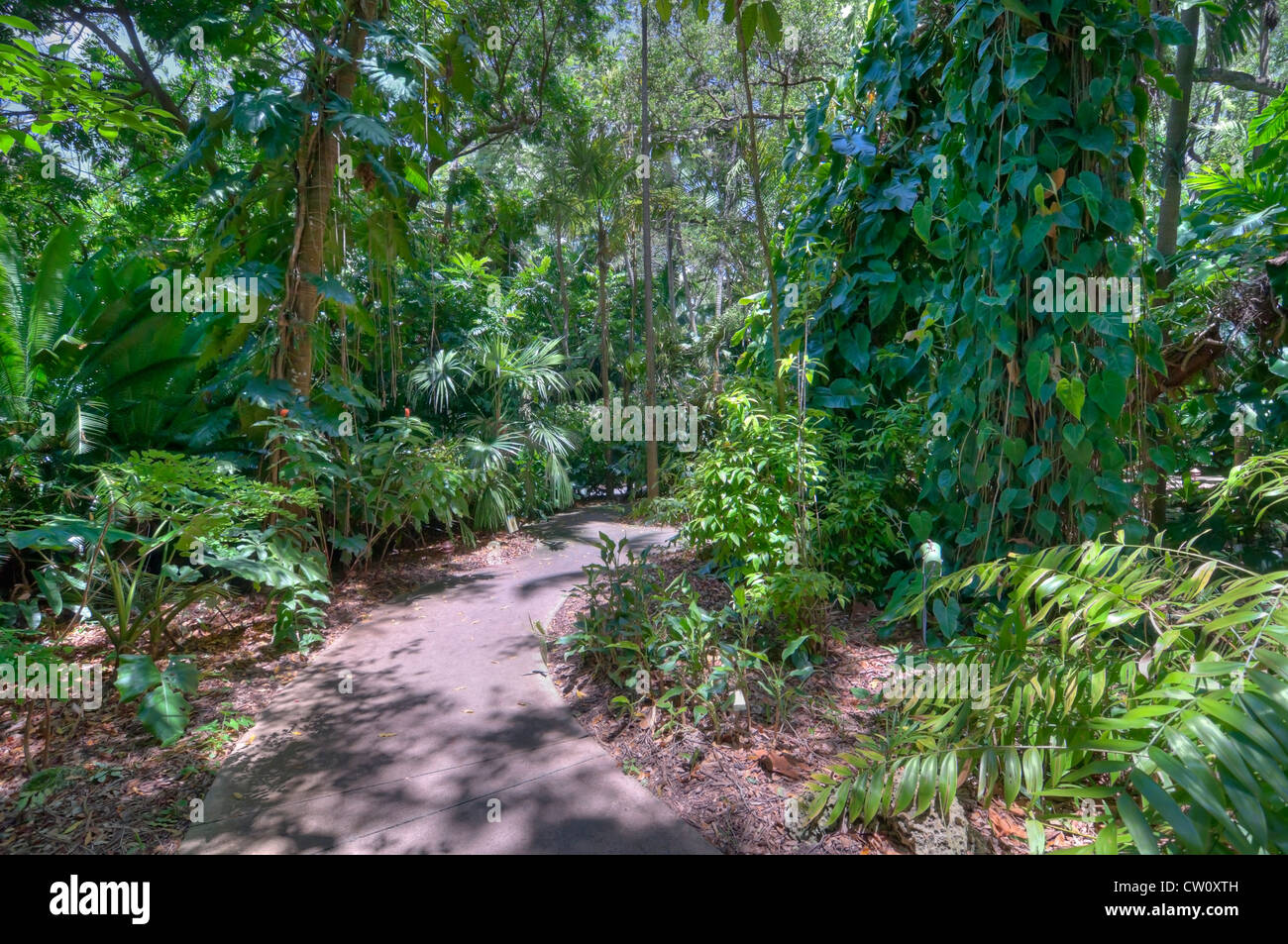 Fairchild Tropical Giardini Botanici a Coral Gables, un sobborgo di Miami, Florida. Foto Stock