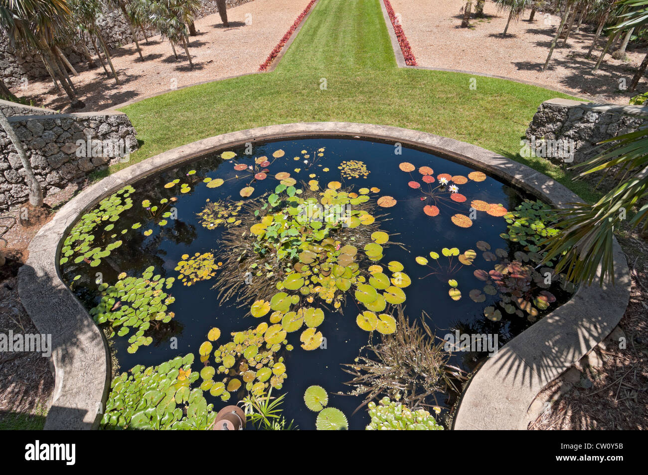 Fairchild Tropical Giardini Botanici a Coral Gables, un sobborgo di Miami, Florida. Foto Stock