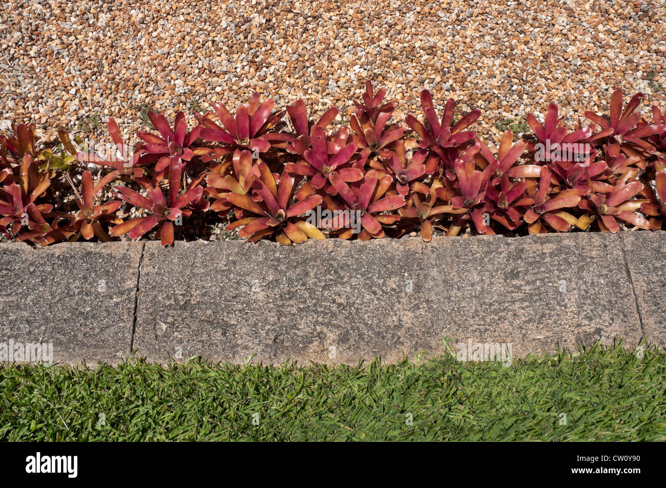 Fairchild Tropical Giardini Botanici a Coral Gables, un sobborgo di Miami, Florida. Foto Stock