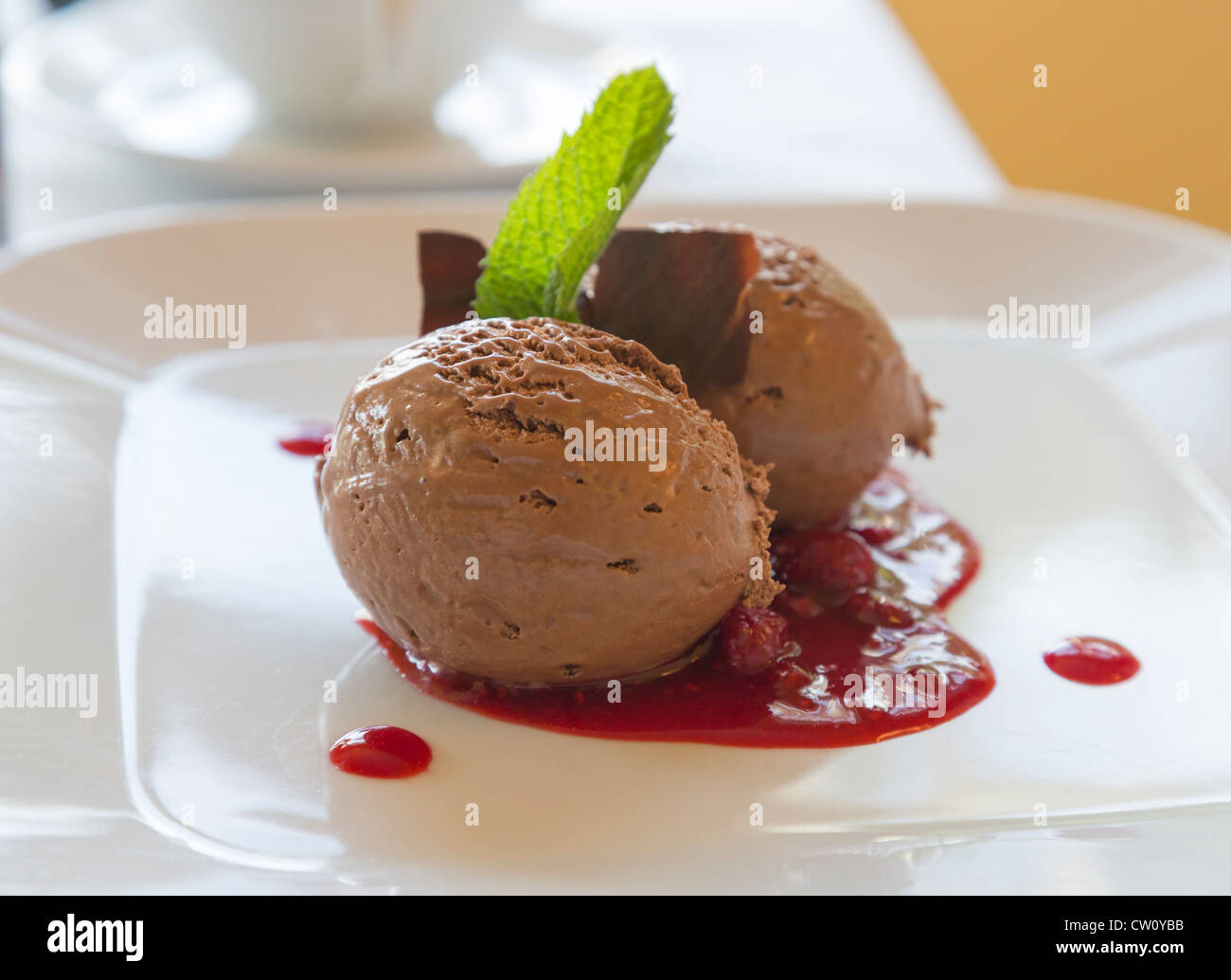 Mousse al cioccolato con coulis di lampone e una foglia di menta Foto Stock