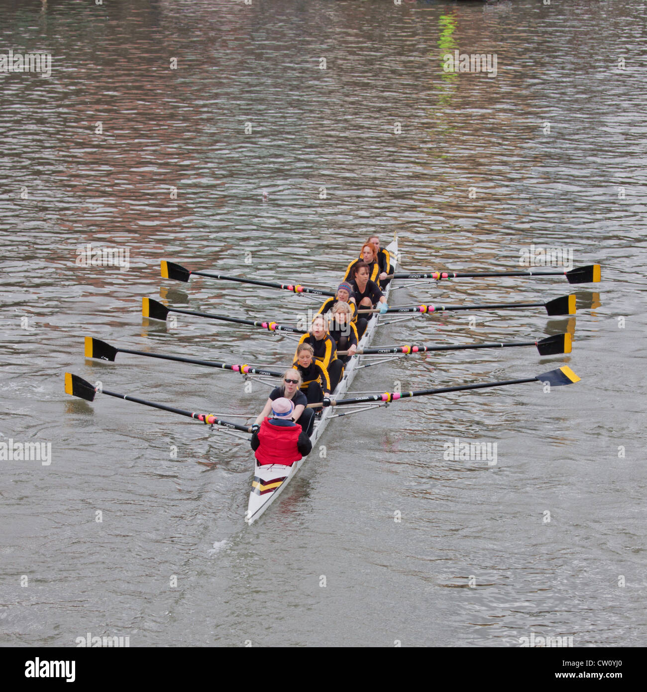 Una femmina di otto equipaggi partecipanti alla testa annuale del fiume corsa attraverso i dock di Bristol Foto Stock