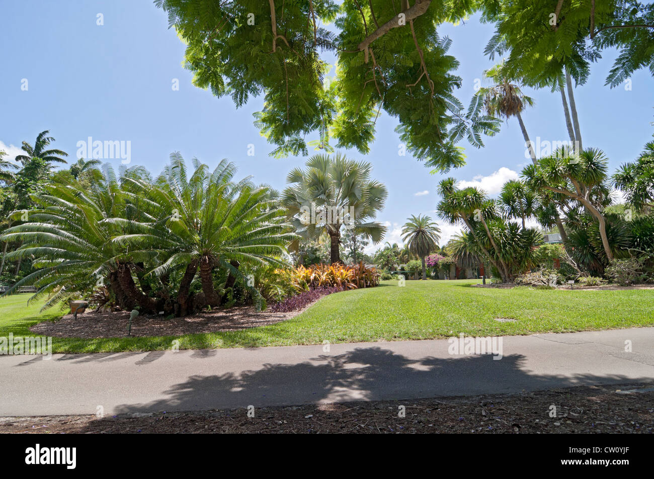 Fairchild Tropical Giardini Botanici a Coral Gables, un sobborgo di Miami, Florida. Foto Stock
