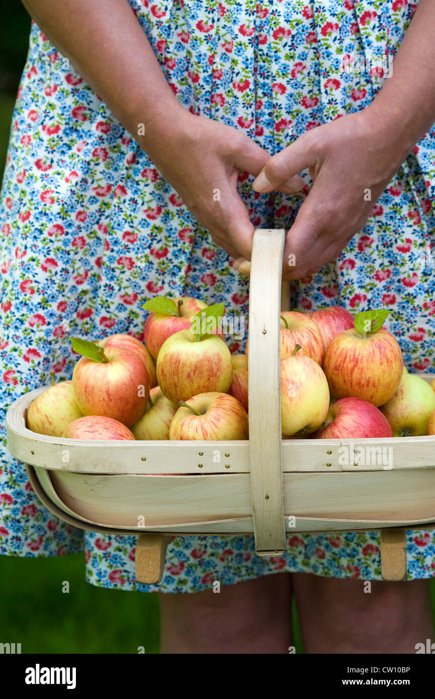Donna che indossa un vestito con un trug di mele fresche harvest Foto Stock