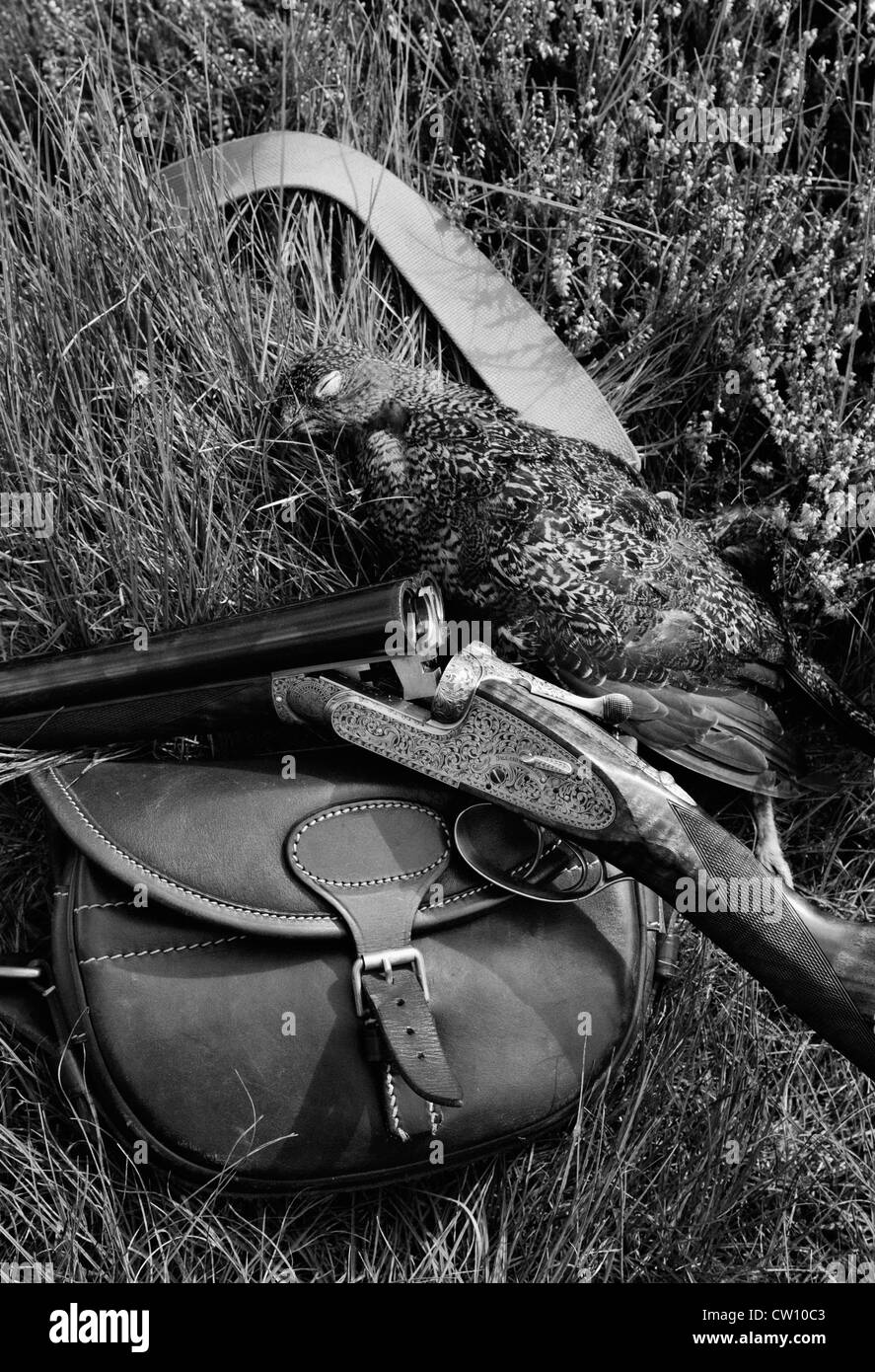 Holland e Holland miglior fucile, Raccolte Red Grouse e cartuccia in pelle borsa in seduta Heather Foto Stock