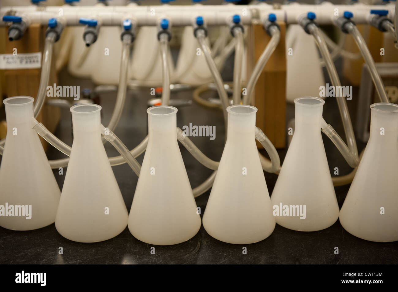 Bicchieri agganciato ai tubi in un laboratorio Foto Stock