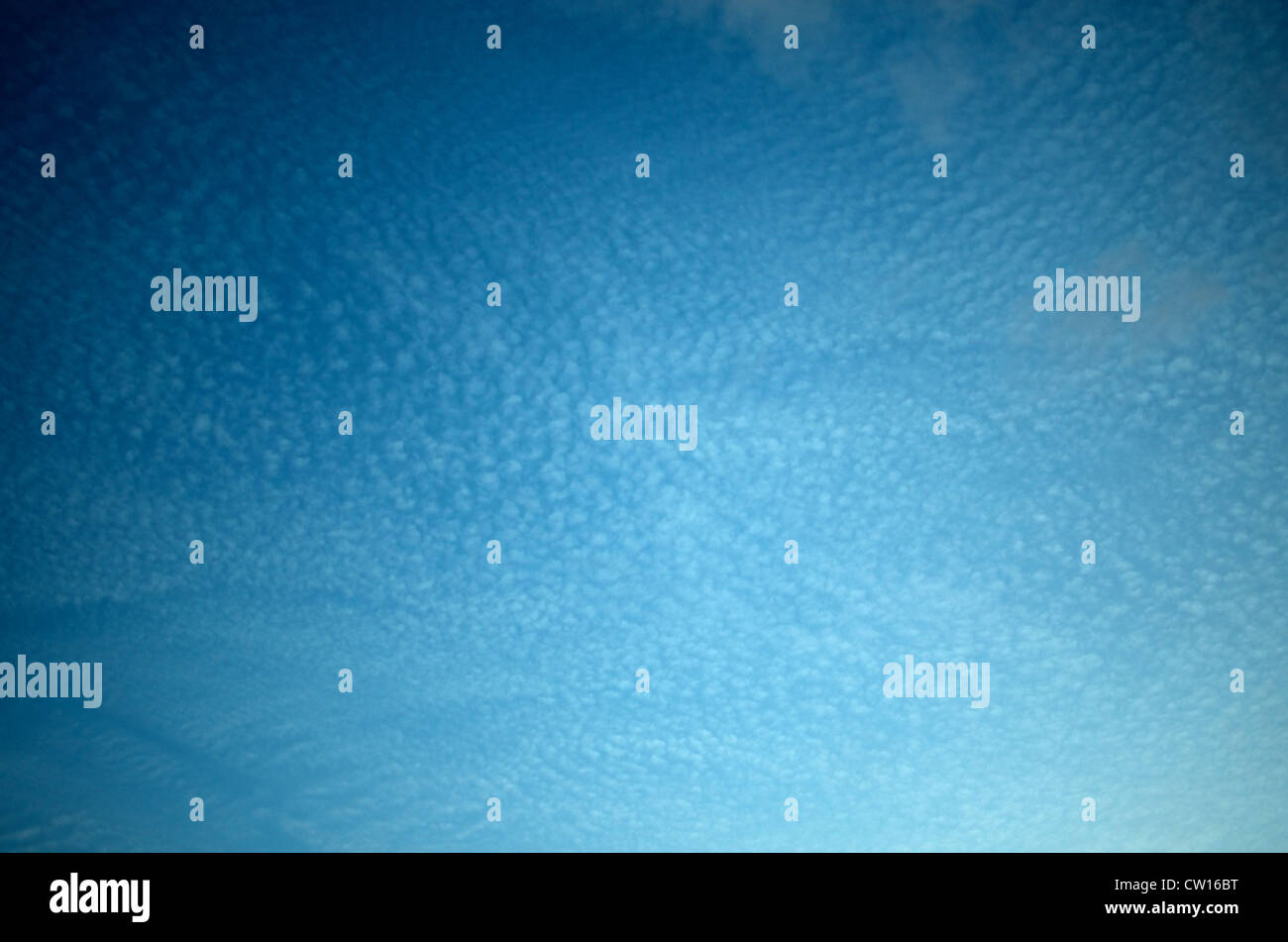 Cielo sgombro: Le nubi di itty bitty puffy alte nel cielo appena prima del tramonto. Foto Stock