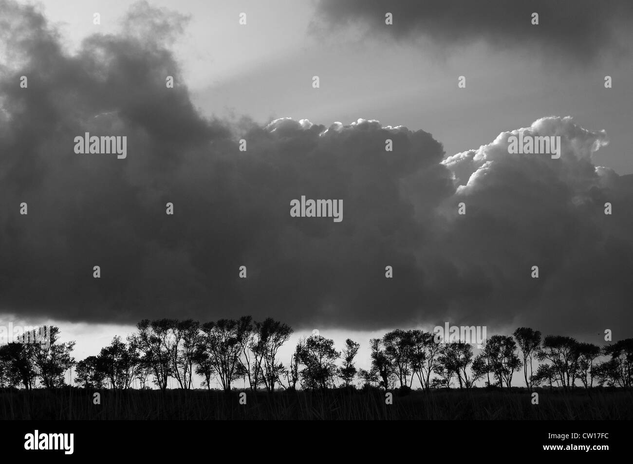 Francia, Camargue. Étang de Vaccarès Foto Stock