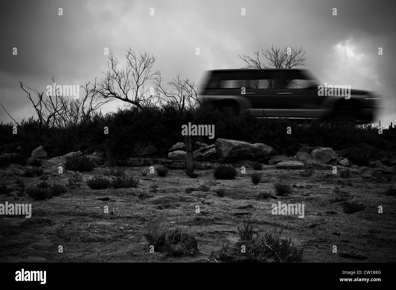 Francia Camargue. Étang de Vaccarès Foto Stock