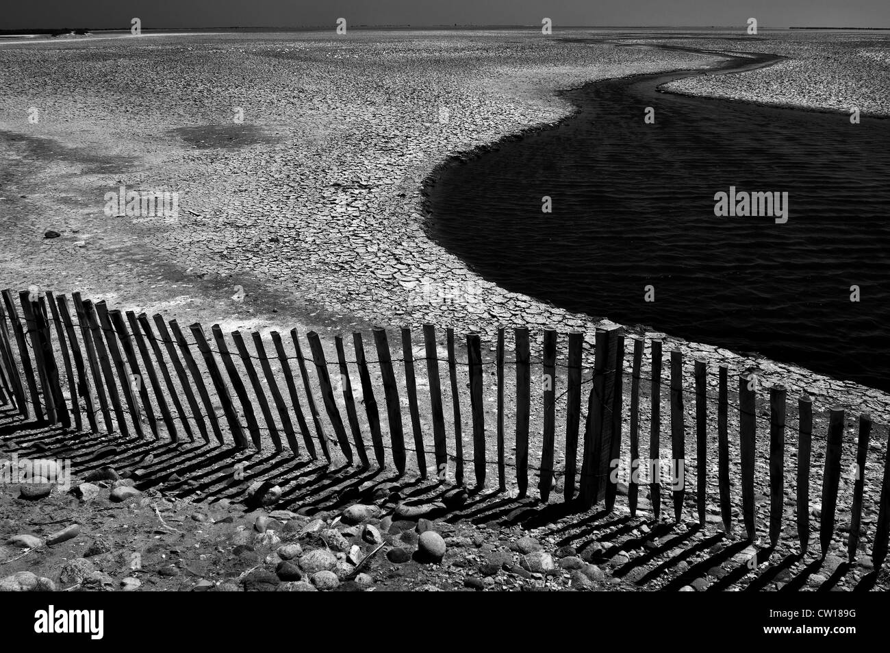 Francia Camargue. Riva dell'Étang de Vaccarès Foto Stock