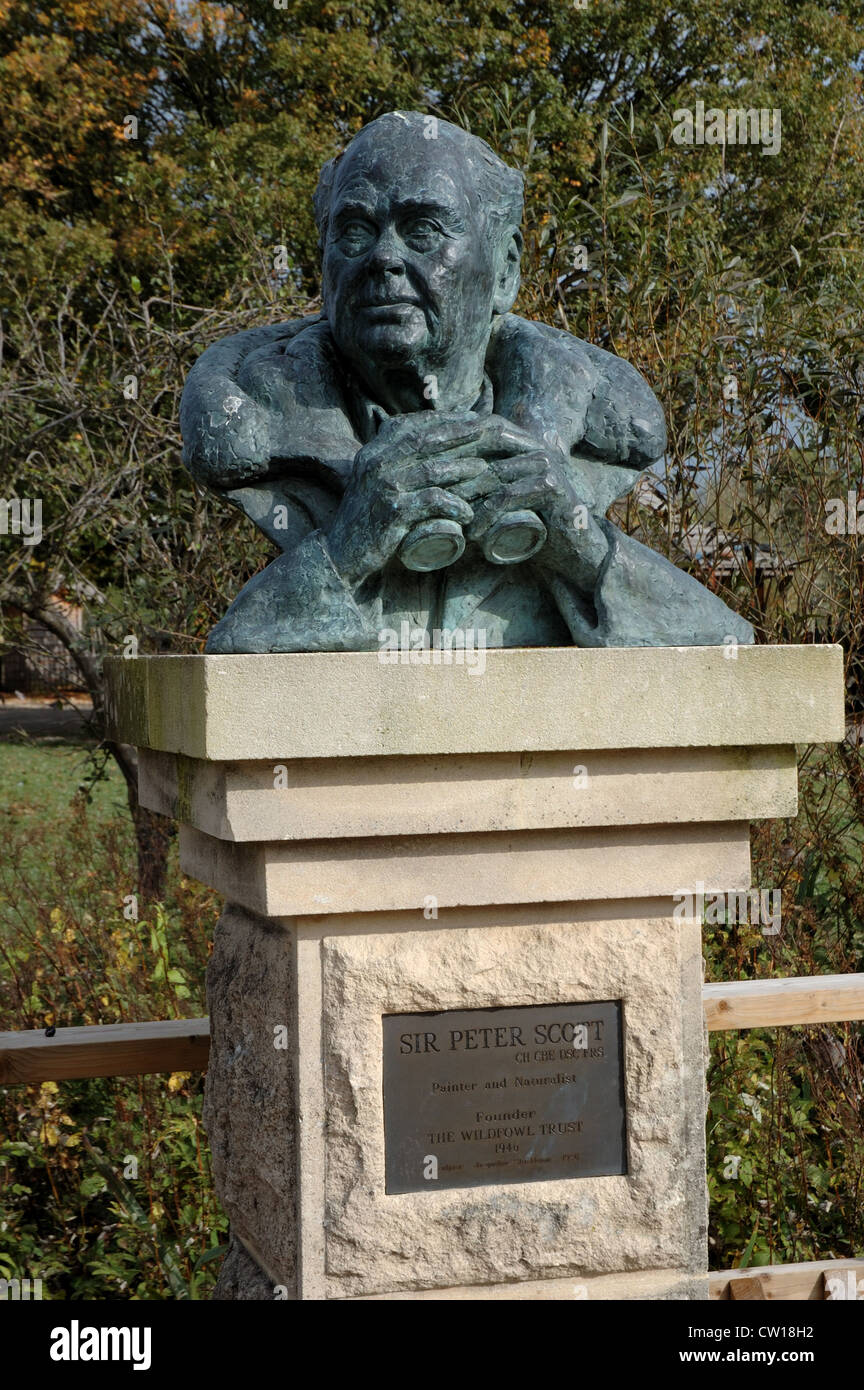 Busto di Sir Peter Scott a Wildfowl and Wetland Trust, Slimbridge, REGNO UNITO Foto Stock
