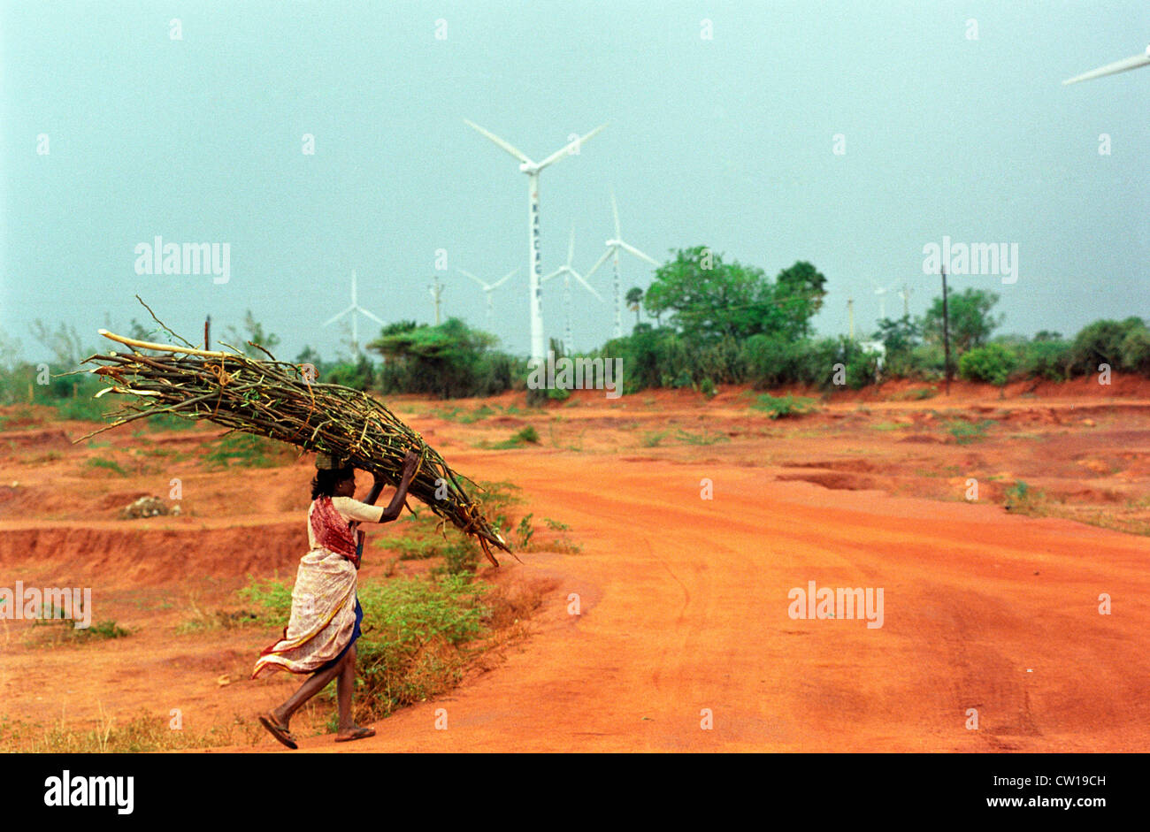 INDIA Tamil Nadu Kannyakumari Cape Comorin , per centrali eoliche con grandi turbine eoliche per la generazione di energia elettrica e di energia la transizione Foto Stock