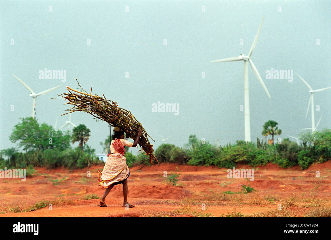 INDIA Tamil Nadu Kannyakumari Cape Comorin , per centrali eoliche con grandi turbine eoliche per la generazione di energia elettrica e di energia la transizione Foto Stock