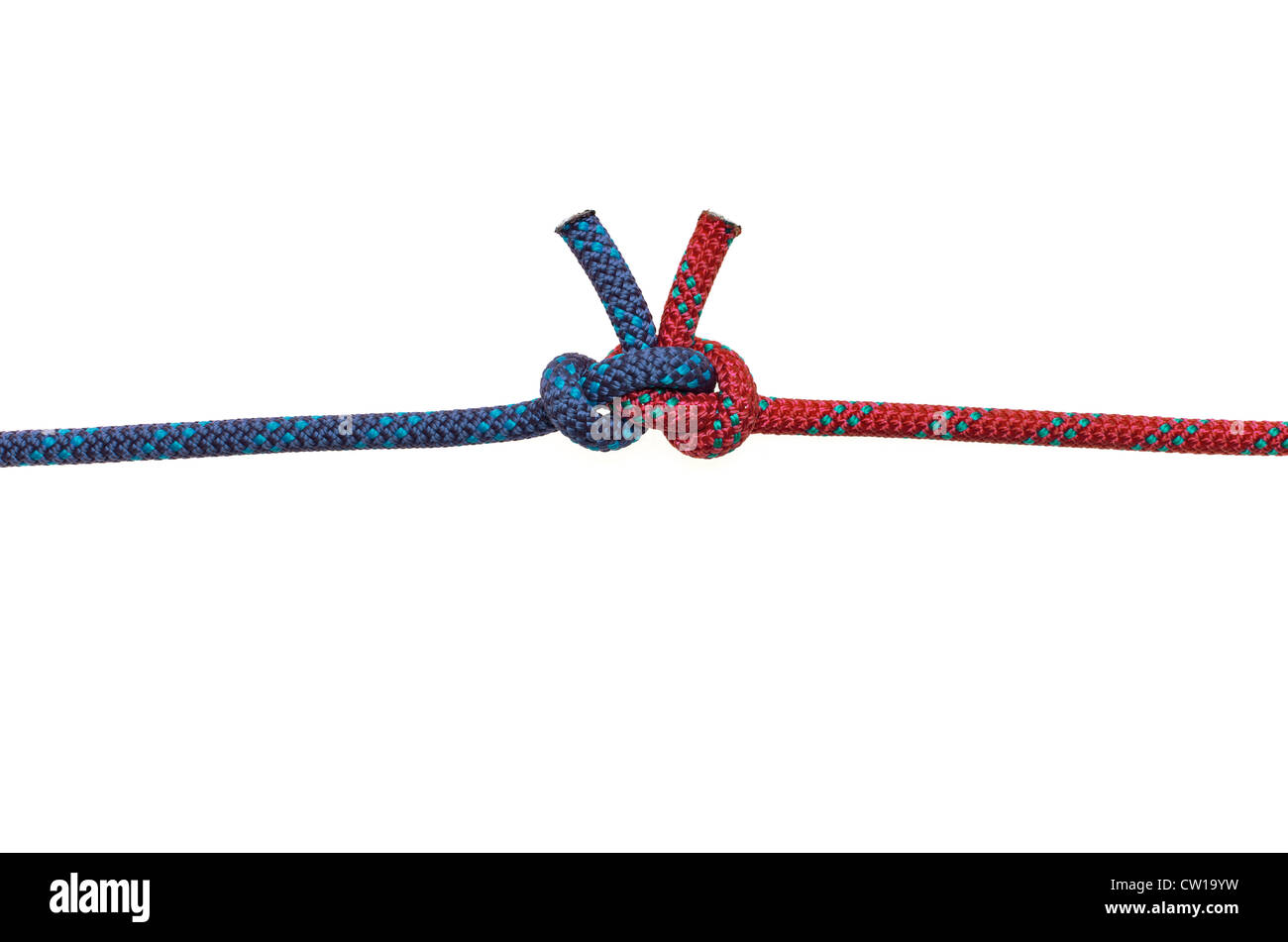 Alpine piegare a farfalla Foto Stock