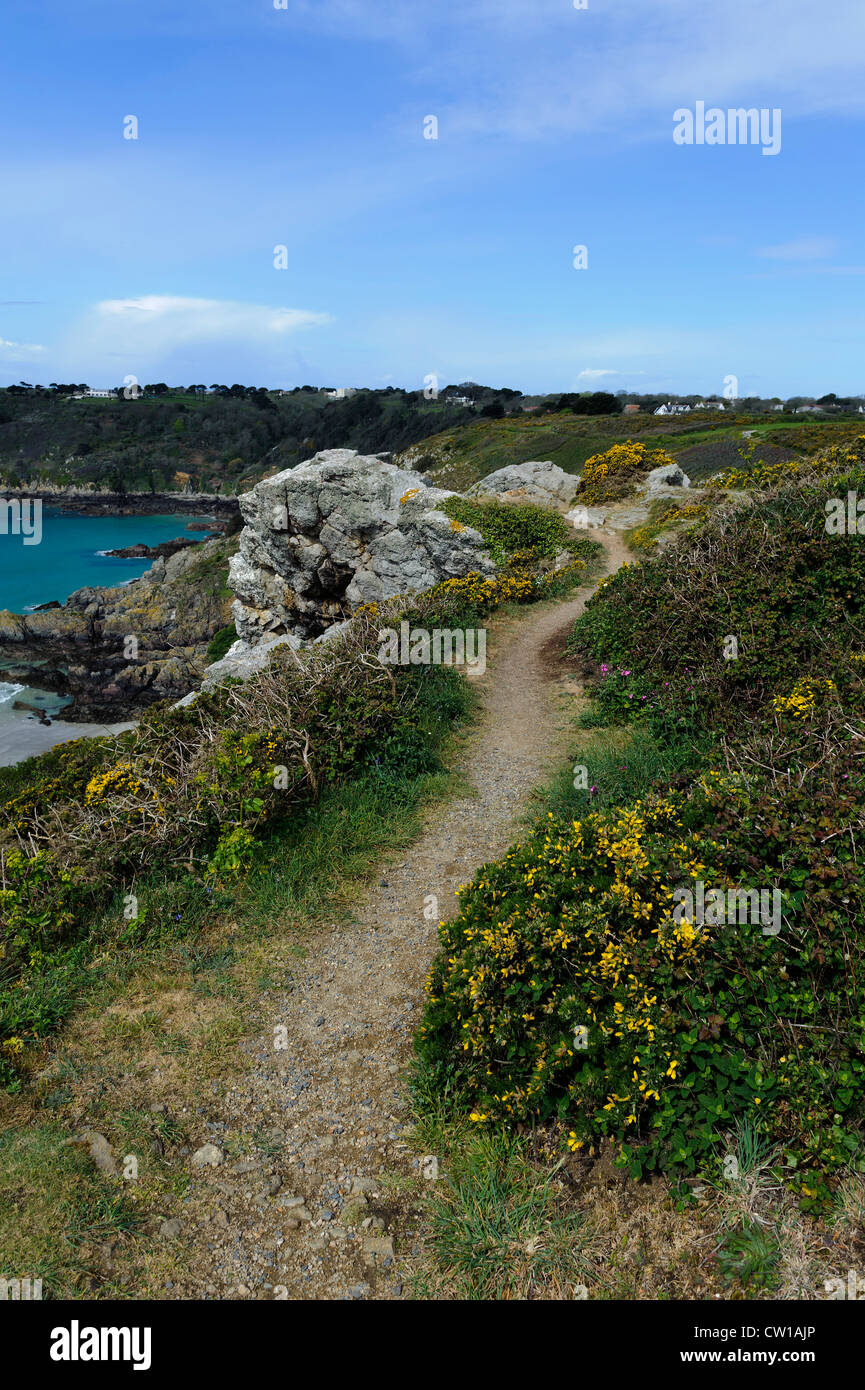 Vista dal punto di Jerbourg su Moulin Huet Bay, Isola di Guernsey, Isole del Canale Foto Stock