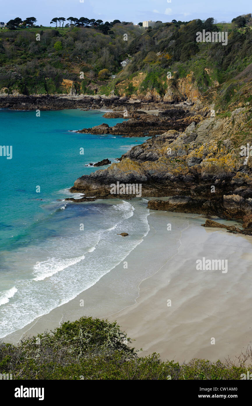 Vista dal punto di Jerbourg su Moulin Huet Bay, Isola di Guernsey, Isole del Canale Foto Stock