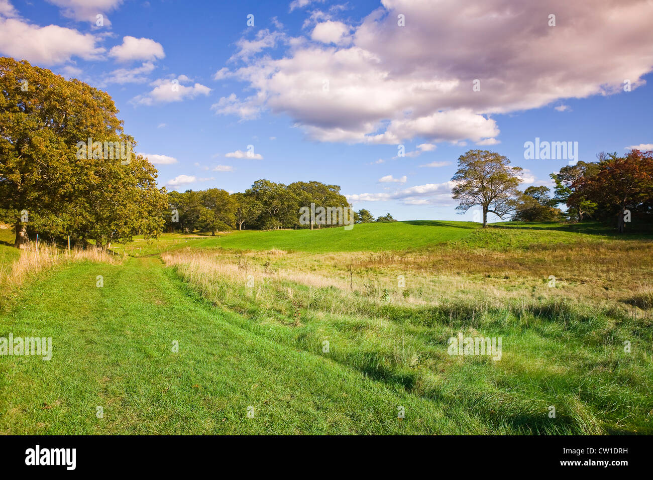 Il grande pascolo a Appleton Farms Ipswich, Massachusetts Foto Stock