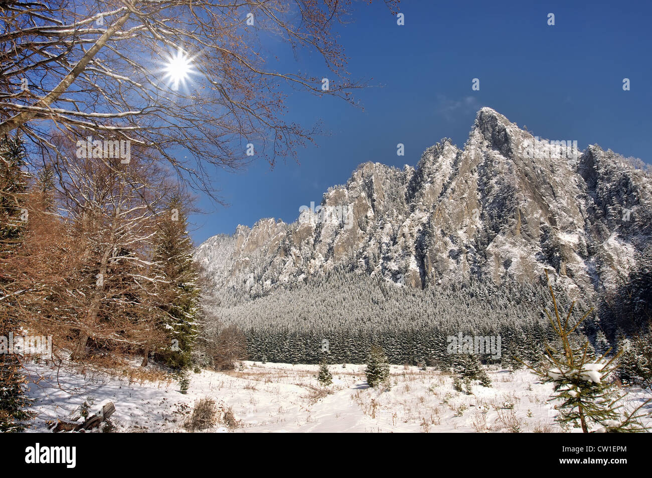 Inverno in montagna in scena Carpazi romeni Foto Stock