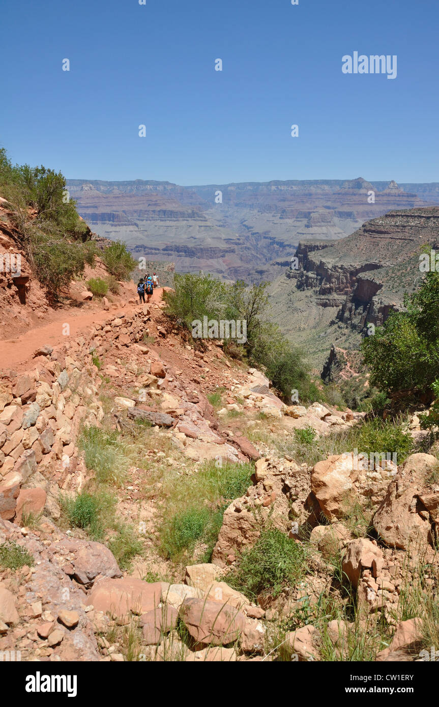 Il Bright Angel trail, Grand Canyon, Arizona, Stati Uniti d'America Foto Stock