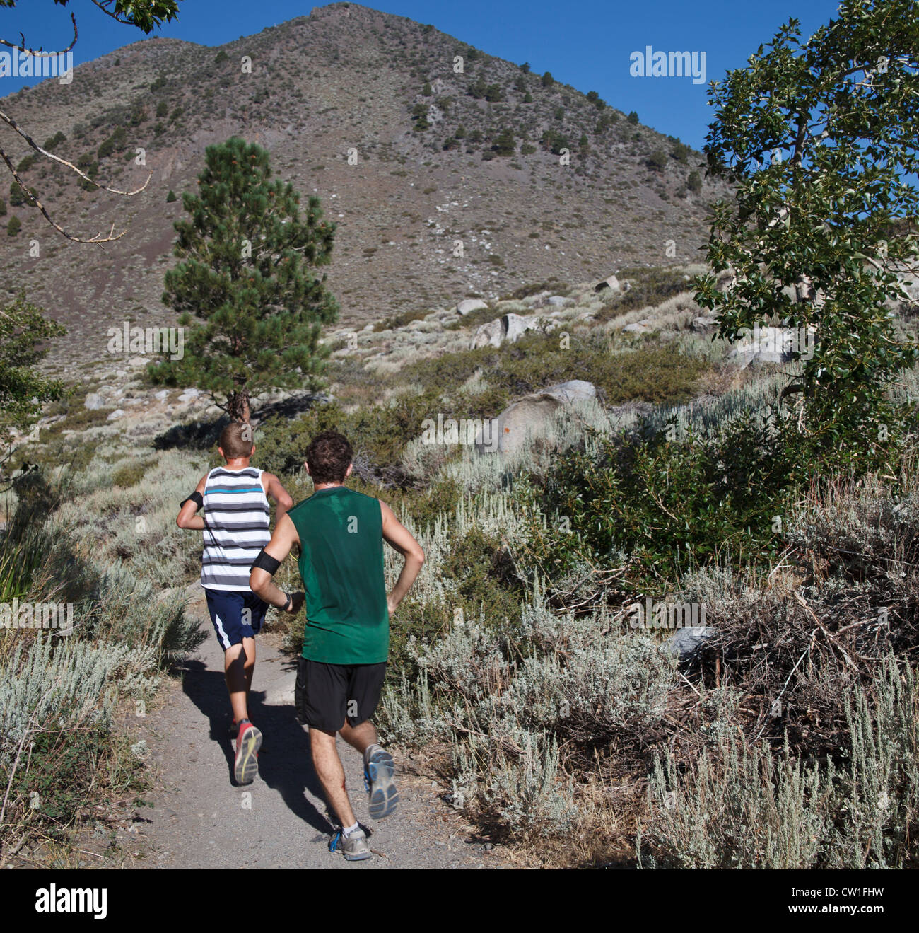 Teen cross-country corridori treno ad alta altitudine sul sentiero intorno al lago di prigionia nei pressi di Mammoth Lakes, California Foto Stock