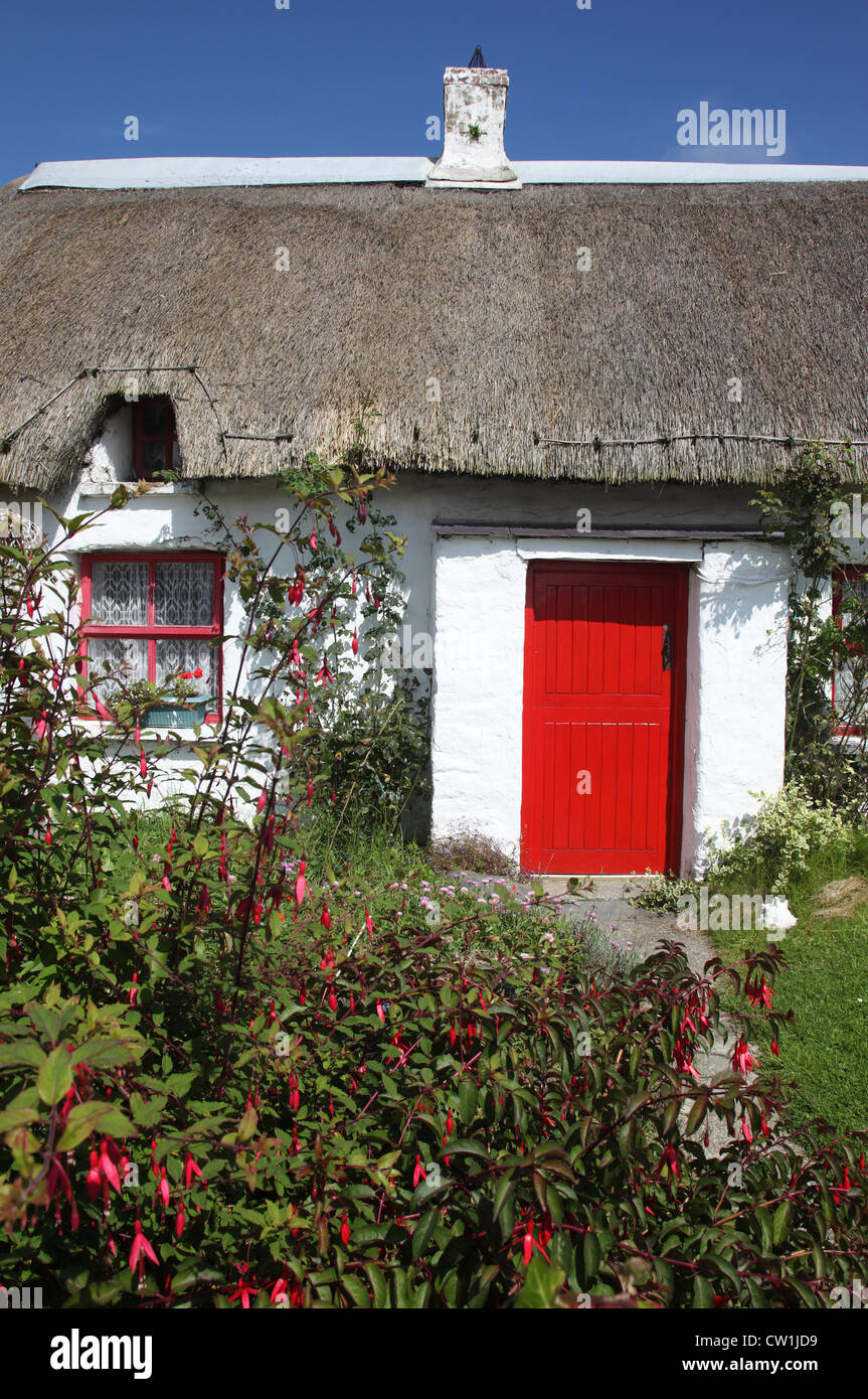 Cottage con il tetto di paglia nel villaggio di pescatori di Clogherhead, Co. Louth, Irlanda Foto Stock Cottage con il tetto di paglia nel villaggio di pescatori di Clogherhead, Co. Louth, Irlanda Foto Stock