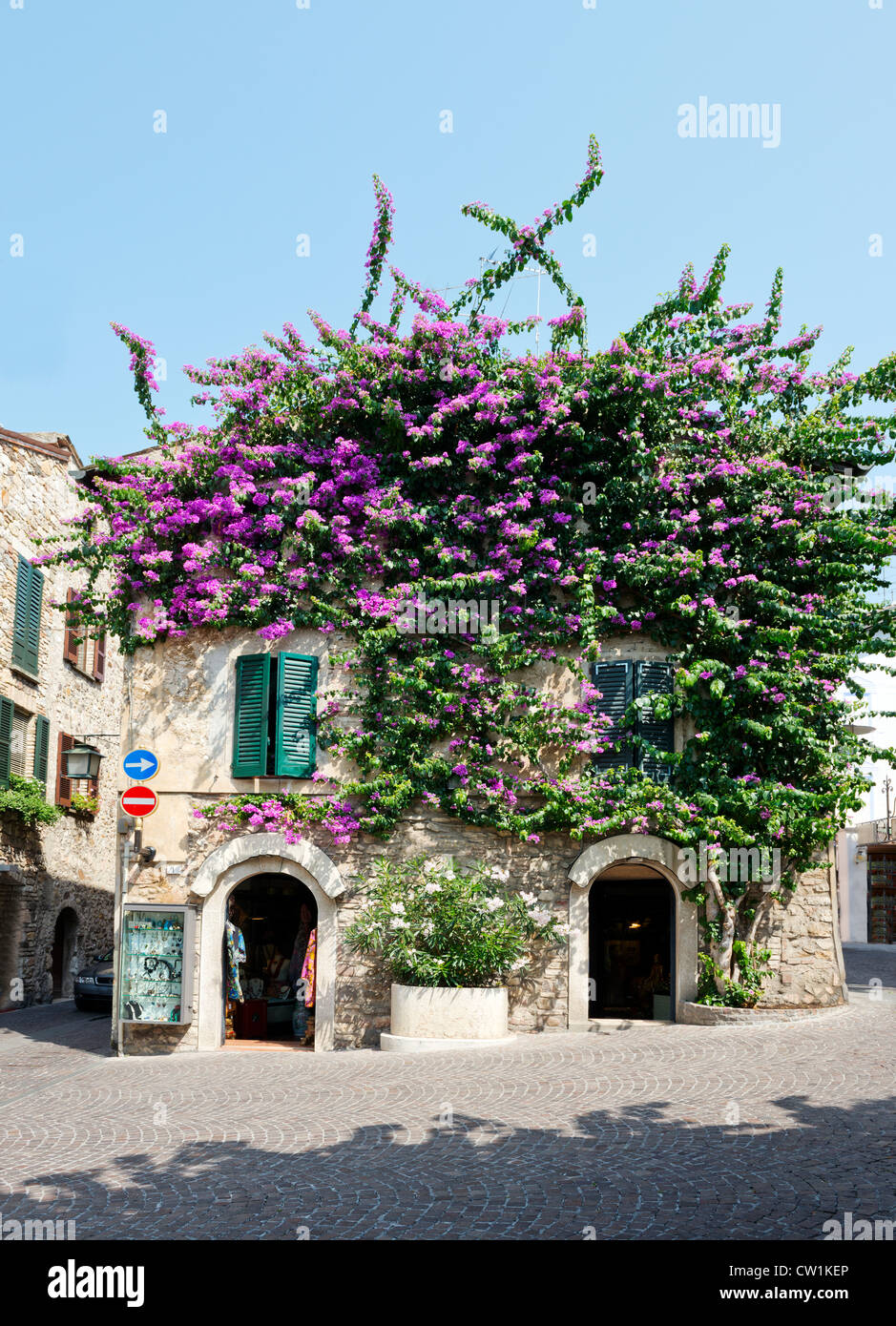 Fiori di bouganville in città di Sirmione Lago di Garda - Garda Trentino Foto Stock