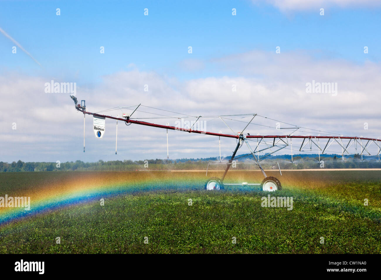 Il centro di rotazione di irrigazione campo di menta piperita. Oregon Foto Stock