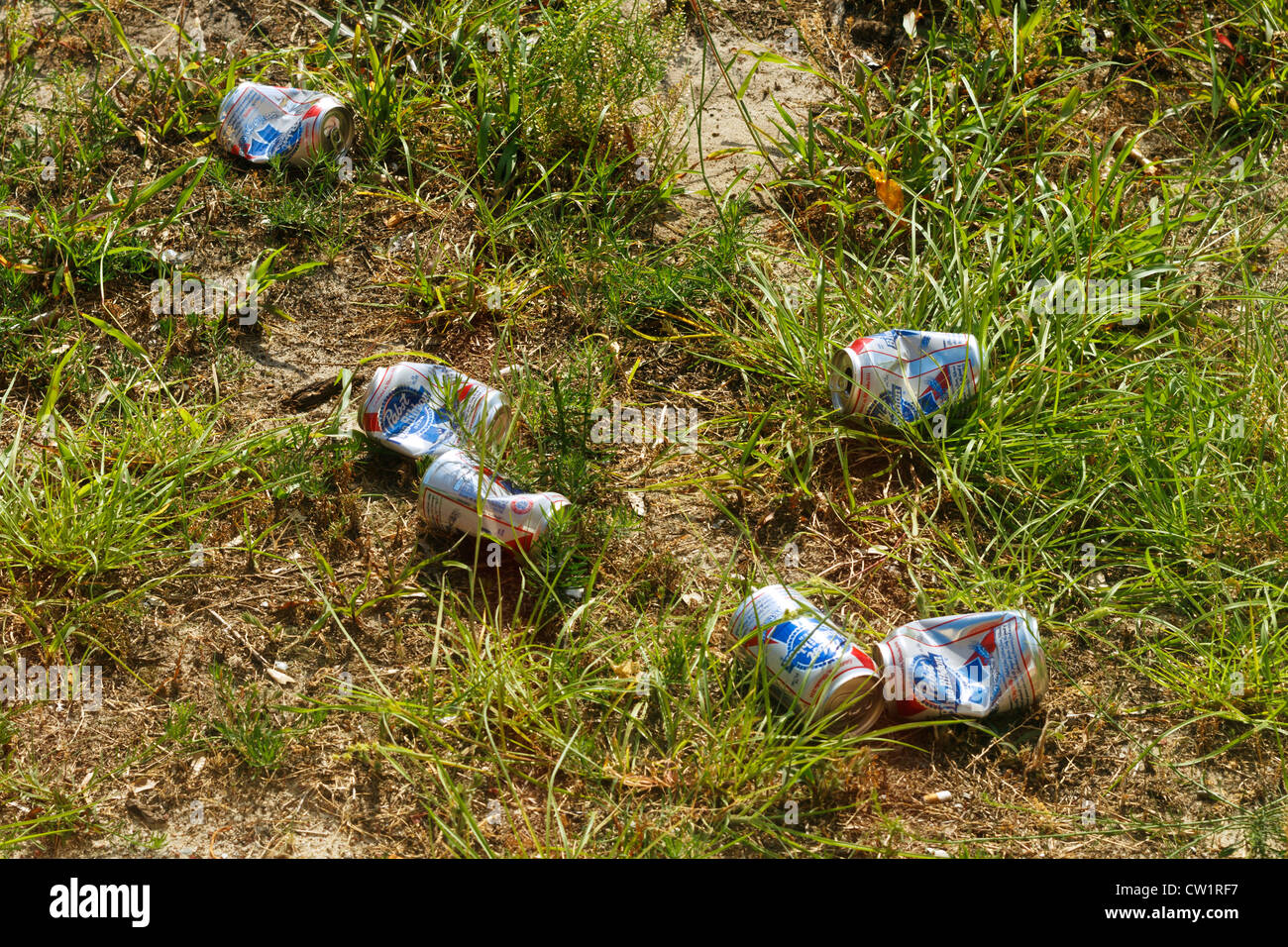 Sei vuoto di lattine di birra sul terreno che sono stati scartati da un bevitore negligente. Foto Stock