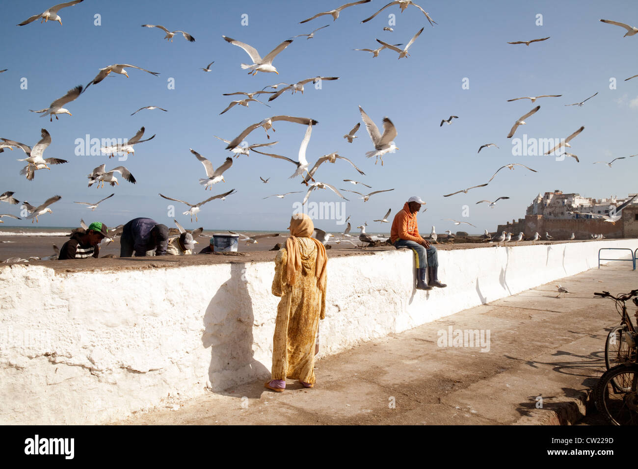 Scena marocchina; popolo arabo berbero e gabbiani nella medina vicino al porto, Essaouira, Marocco Nord Africa Foto Stock