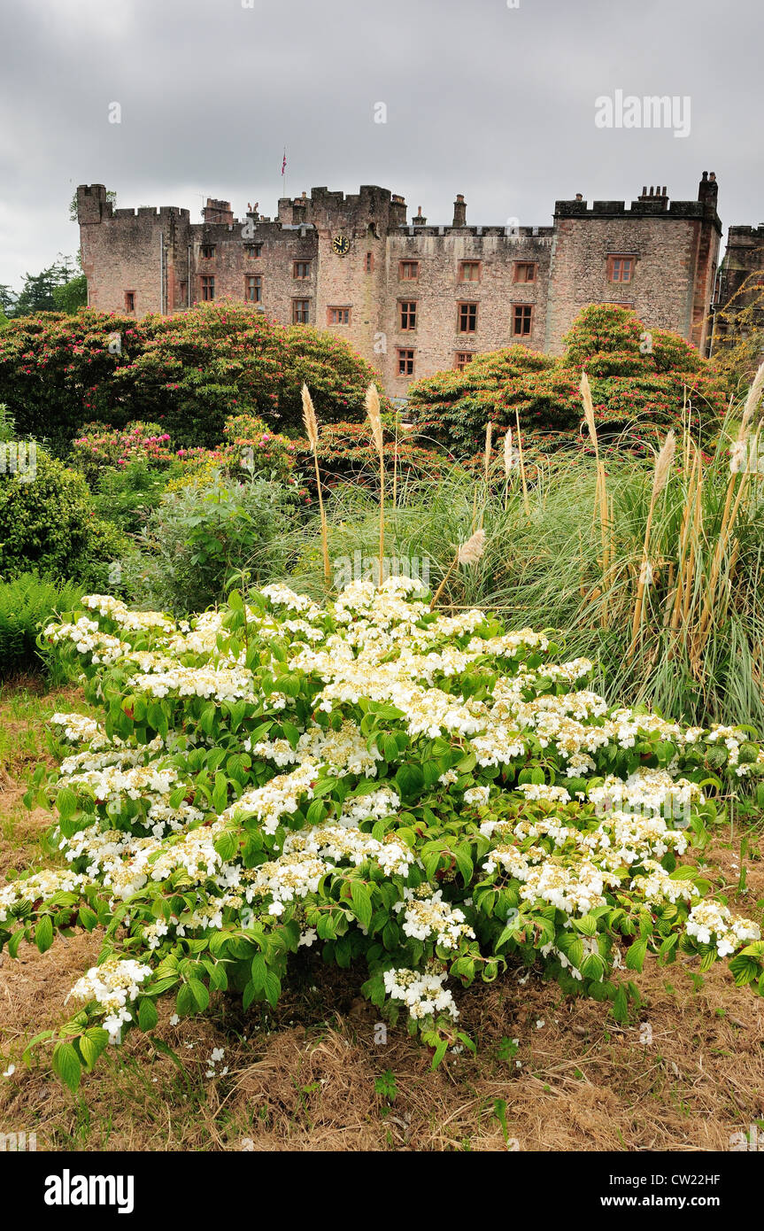 Muncaster Castle e giardini in fiore nel Lake District inglese Foto Stock