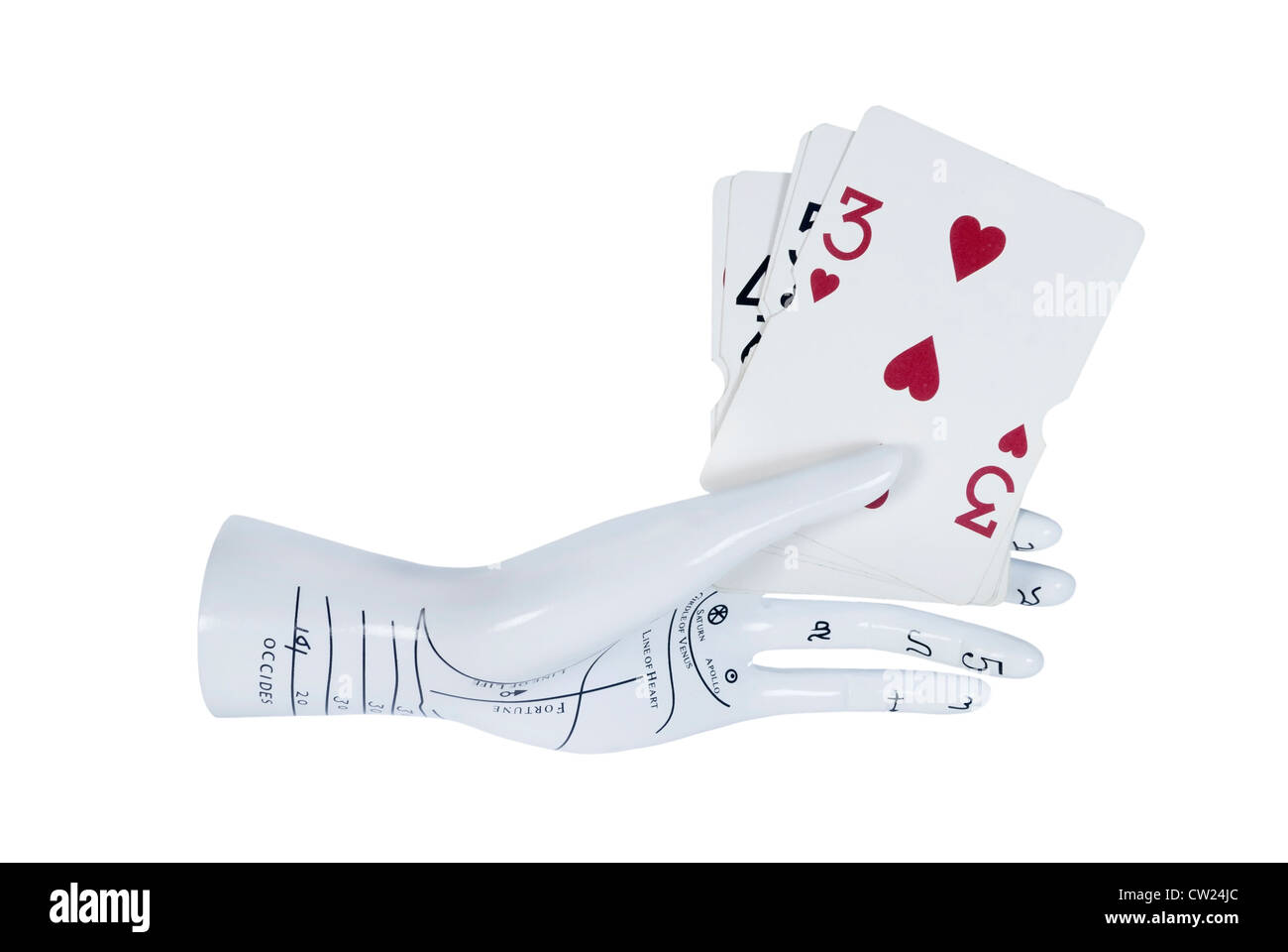 Una ceramica palm lettura modello a mano per identificare le linee per cercare durante la lettura di palme schede di contenimento - percorso incluso Foto Stock