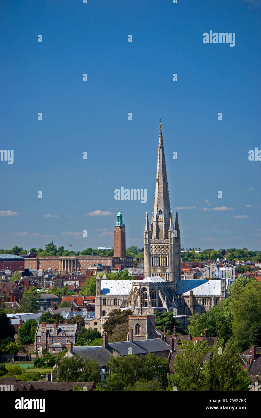 Norwich Cathedral e il Municipio con la sua torre dell'Orologio, visto dal punto di vista di Mousehold Heath, Norfolk. Foto Stock