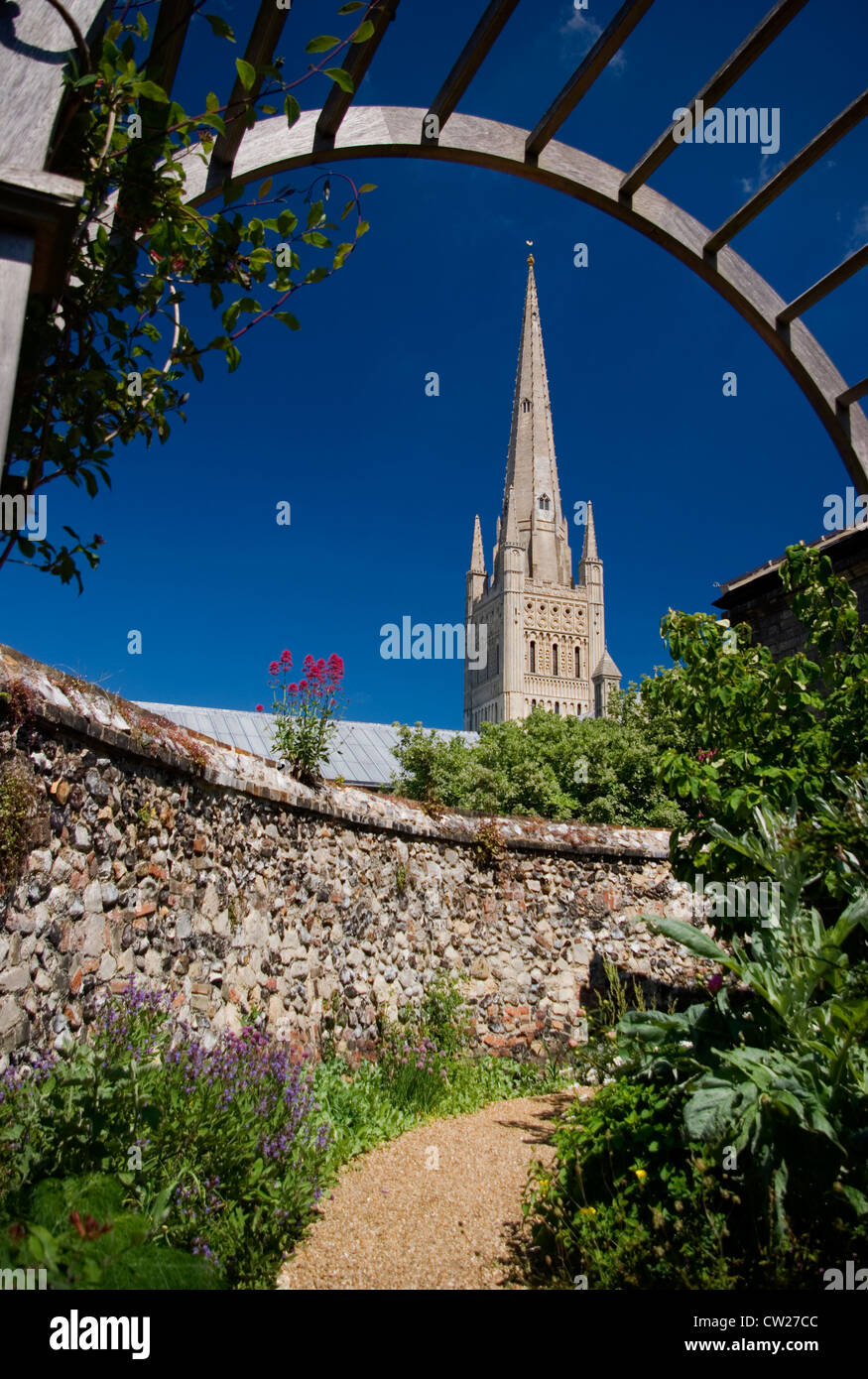 Norwich Cathedral, dal punto di vista della cattedrale giardino di erbe aromatiche, Norfolk. Foto Stock