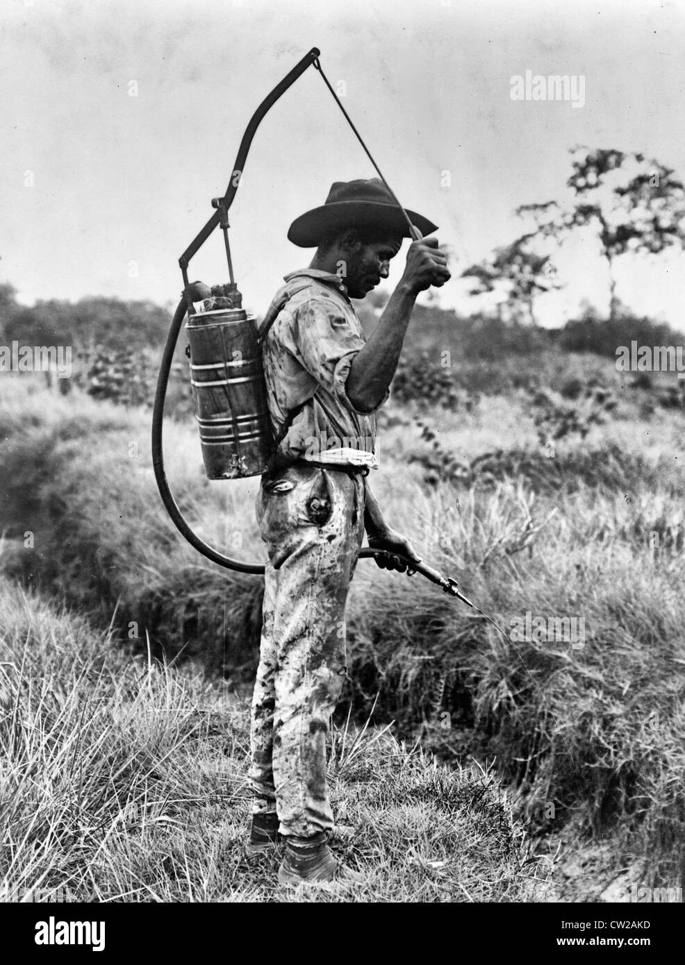 Panama - spruzzare olio su luoghi di riproduzione delle zanzare di un uomo con un barattolo di olio sul retro la spruzzatura di liquido sull'erba. c.1920 Foto Stock