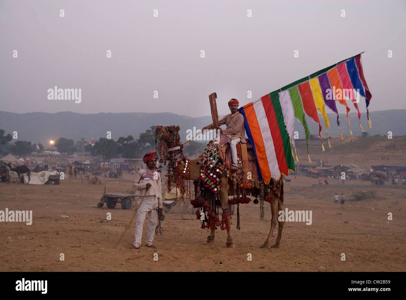 Decorate il cammello a Pushkar Camel Fair e festival culturali in Rajasthan in India. Questo evento si verifica nel novembre annualmente Foto Stock