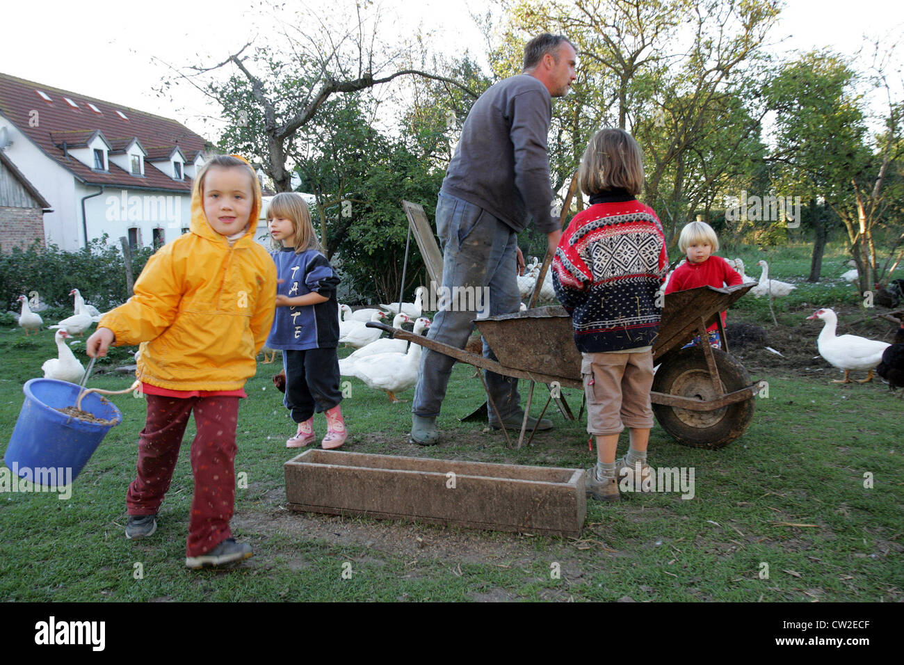 Villaggio splendente, i bambini aiutano gli agricoltori di alimentare le anatre Foto Stock