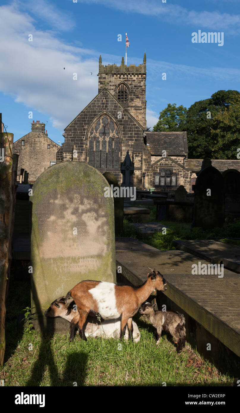 Saint Wilfred chiesa Parrocchiale, in Calverley, Leeds. La chiesa risale al XIV secolo. Foto Stock