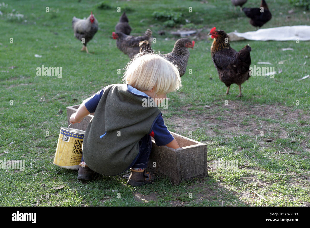 Risplendente village, un bambino alimentazione di polli in azienda Foto Stock