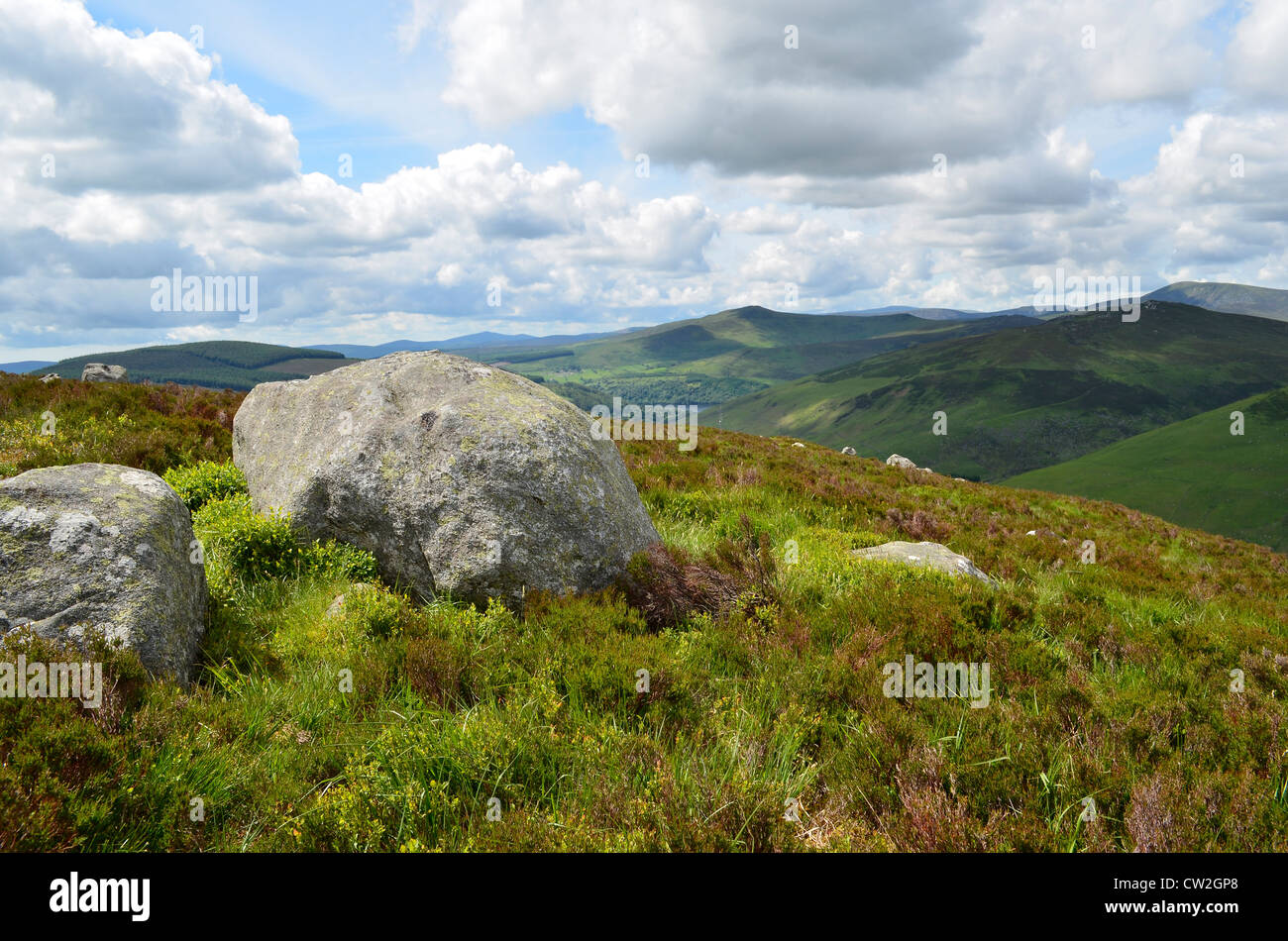 Le grandi rocce in un tipico verde paesaggio irlandese nel Parco Nazionale di Wicklow Mountains, a sud di Dublino in Irlanda. Foto Stock