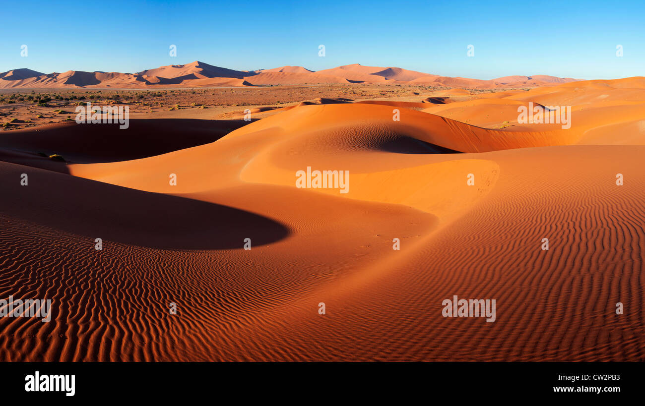 Intricato modello dune illuminato dal sole di mattina. Sossusvlei nel deserto del Namib. Namib-Naukluft N.P, Namibia Foto Stock