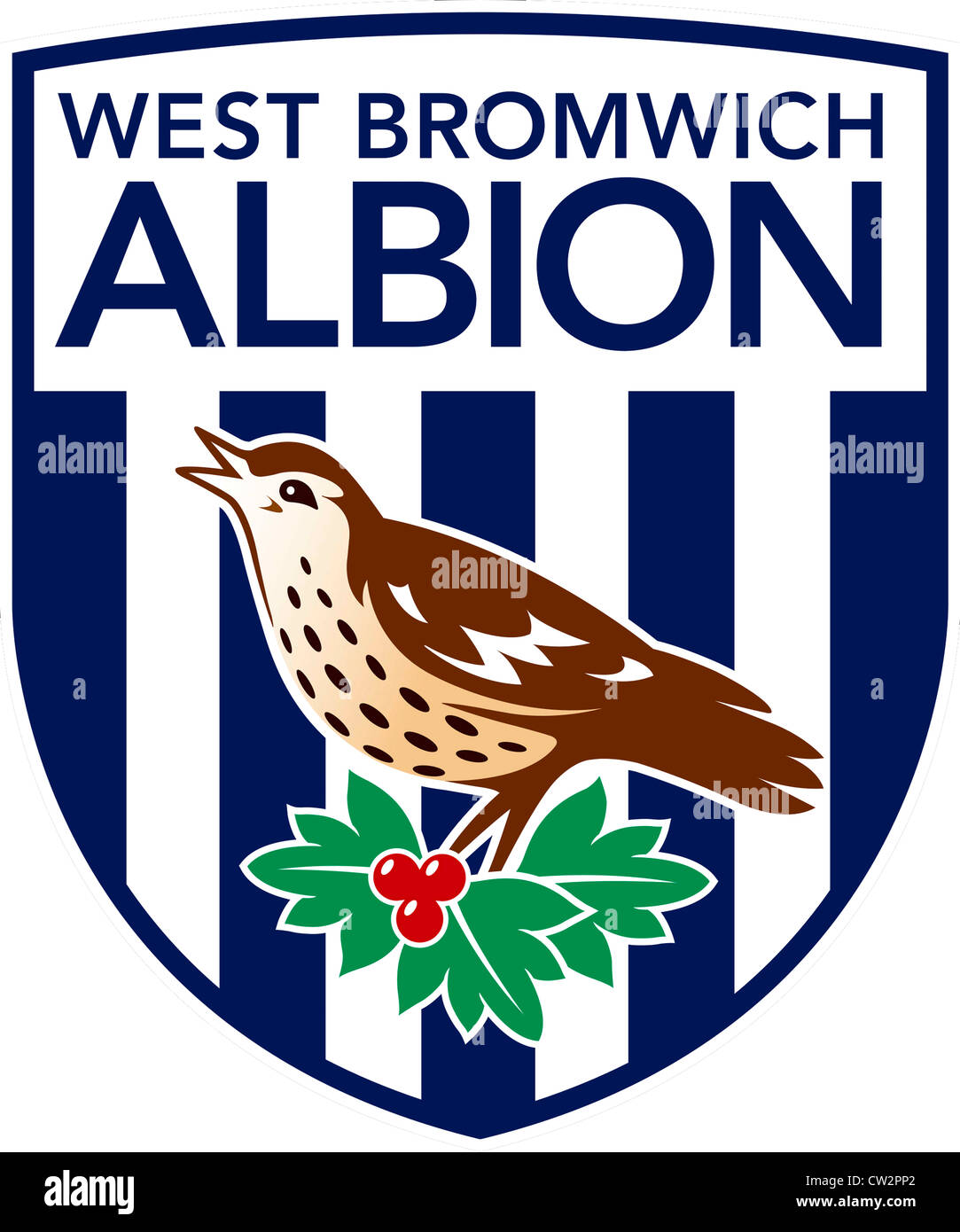 Il logo del calcio inglese squadra West Bromwich Albion Football Club. Foto Stock