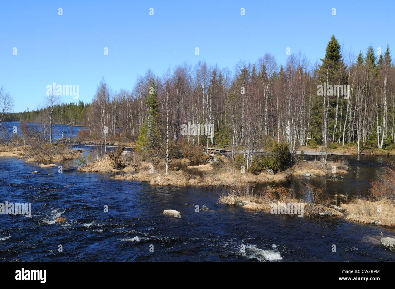 Vista di un impetuoso fiume in un lago finlandese, kuusamo, Finlandia Foto Stock